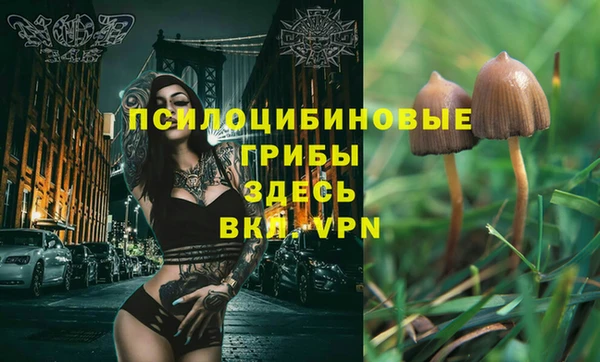 каннабис Дмитриев