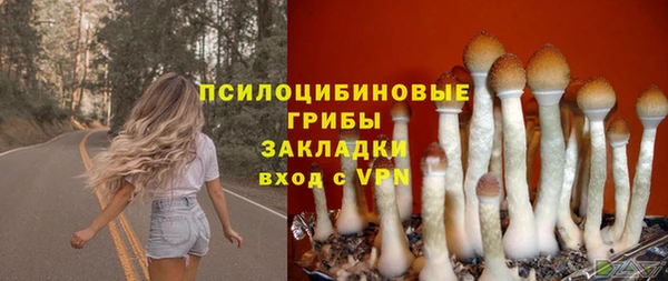 ALPHA PVP Гусиноозёрск