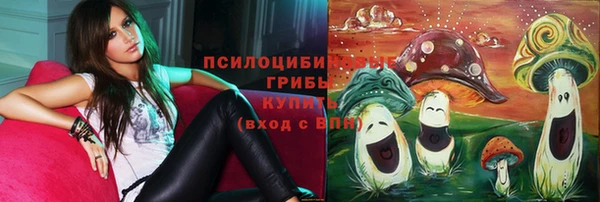 экстази Дмитровск